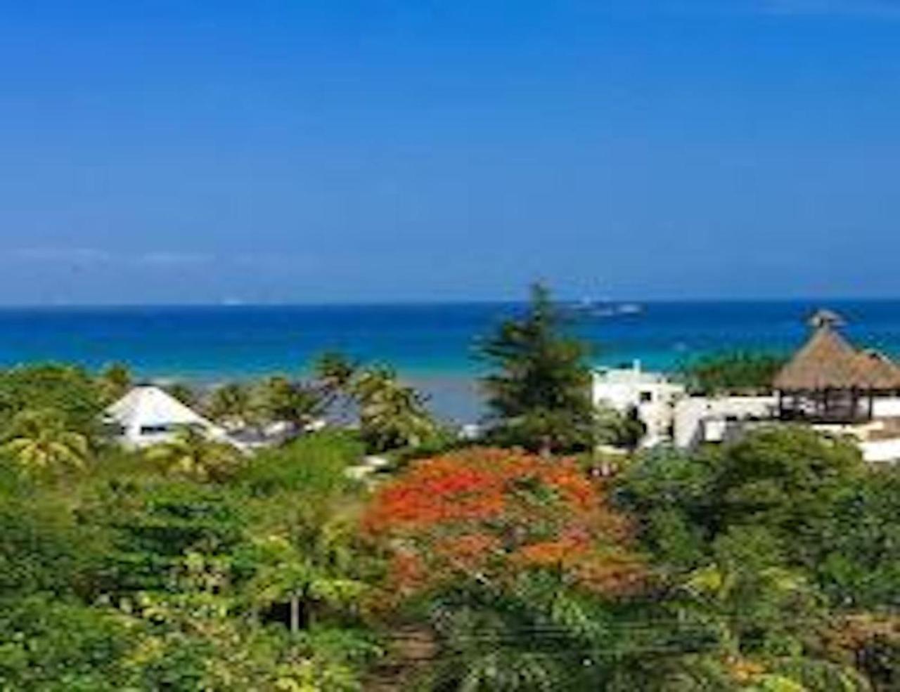 Acanto Hotel Playa Del Carmen, Trademark Collection By Wyndham Eksteriør billede